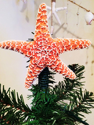 starfish for topper christmas tree coastal style decor