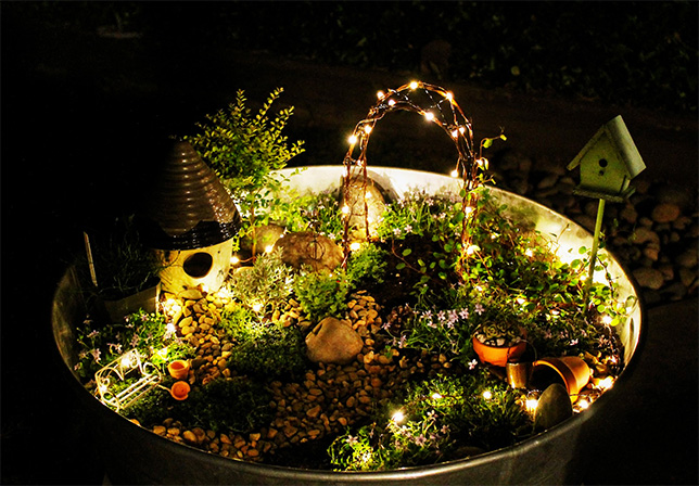 Birdhouse turns into Fairy Garden for St. Patrick's Day