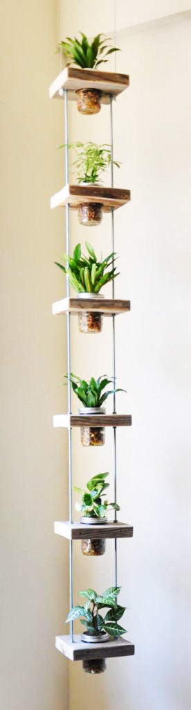 the hanging herbs vertical