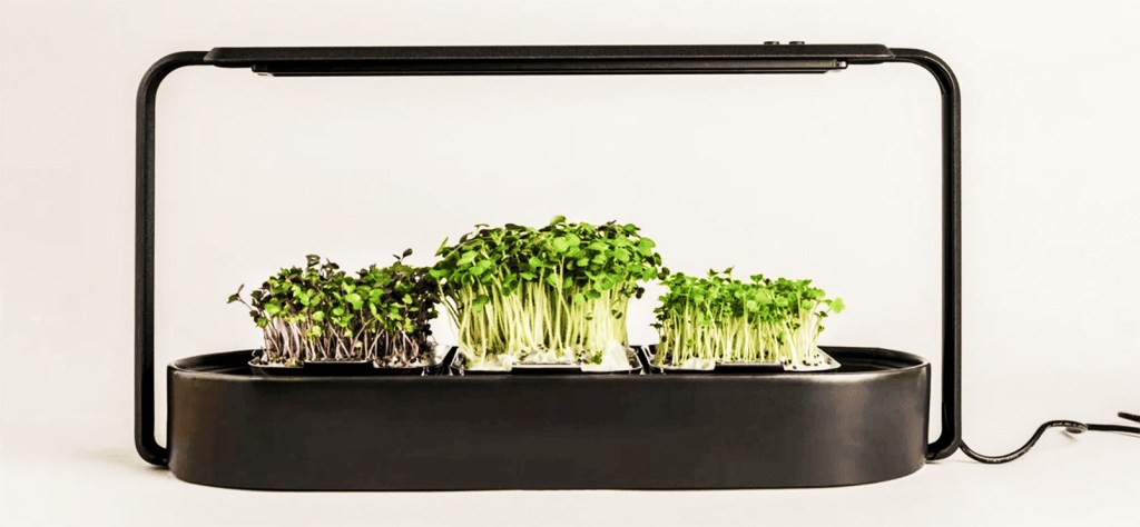 microgreens growing kit hydroponic watering system