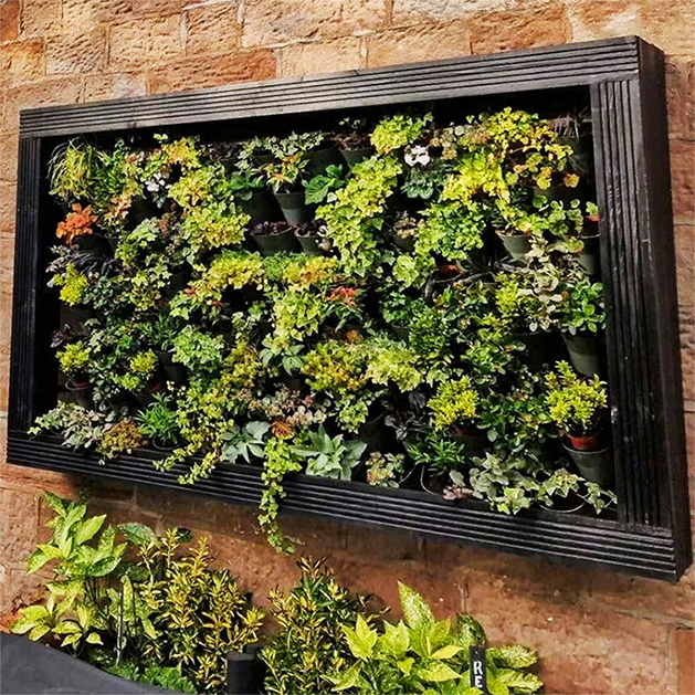 indoor plant wall with frame