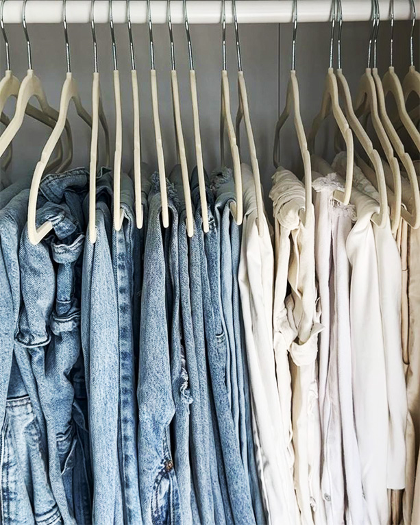 slim hangers organizer