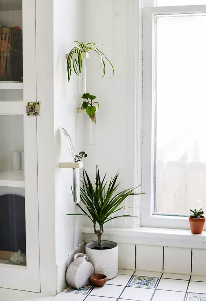 Tubes for propagate plants